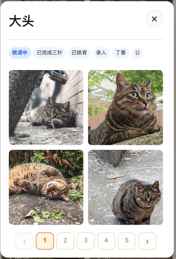 猫猫 v0.13.0 移动端猫咪详情悬浮窗，标签筛选、两列照片宫格与分页控件