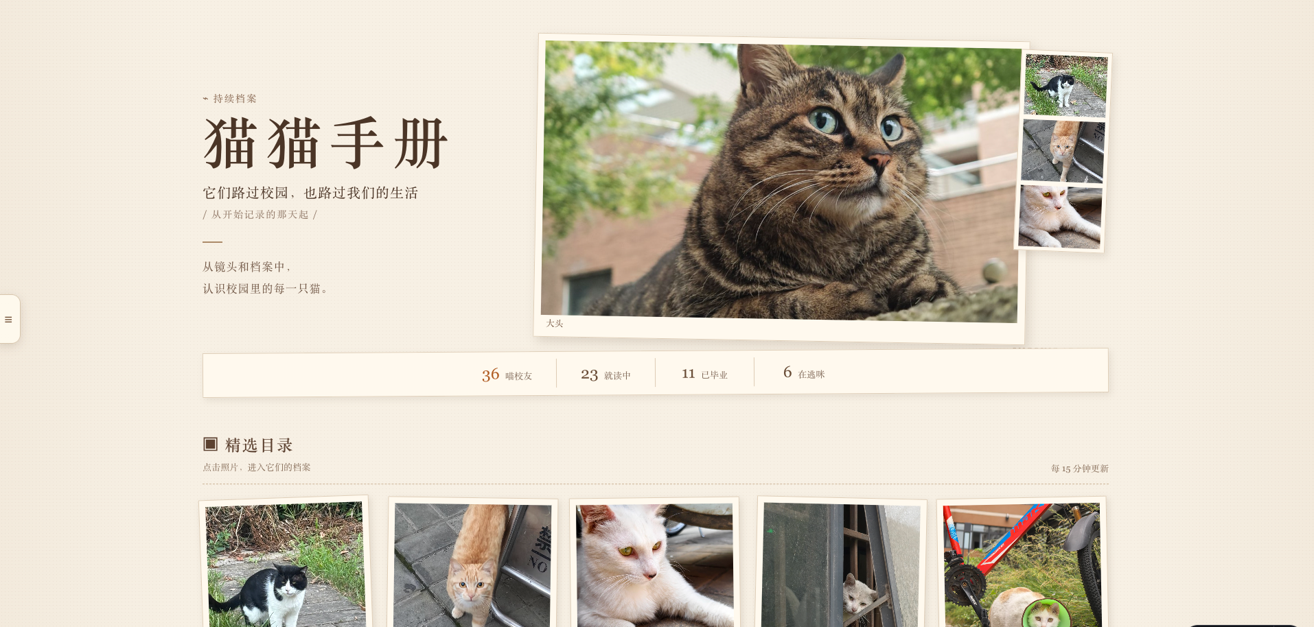 猫猫 v0.14.0 侧边栏展开状态